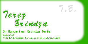 terez brindza business card